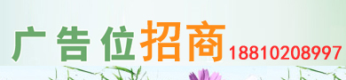 ˎƷ̾W(wng)