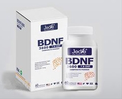 BDNF3600(f)Ϸ С{(ln)ƿ 